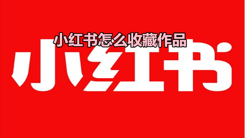 小红书怎么收藏作品