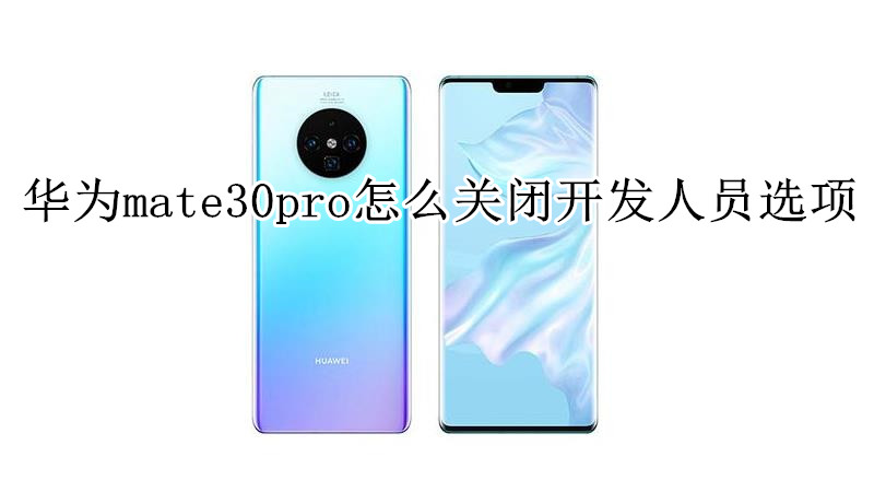 华为mate30pro怎么关闭开发人员选项