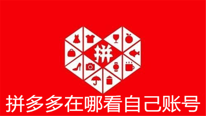 拼多多在哪看自己账号