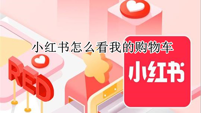 小红书怎么看我的购物车