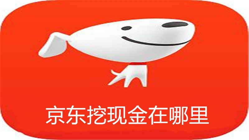 京东挖现金在哪里