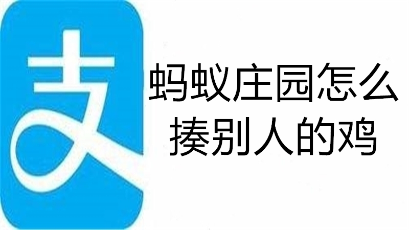 蚂蚁庄园怎么揍别人的鸡