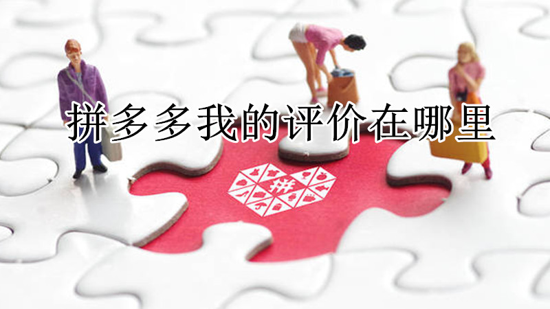 拼多多我的评价在哪里