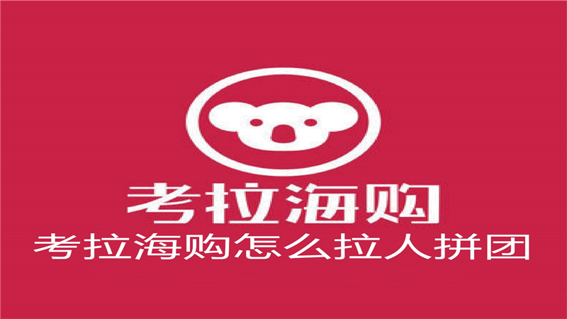 考拉海购怎么拉人拼团