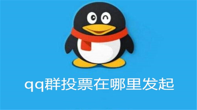 qq群投票在哪里发起
