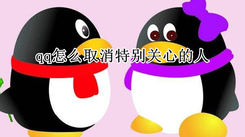 qq怎么取消特别关心的人