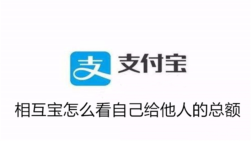 相互宝怎么看自己给他人的总额