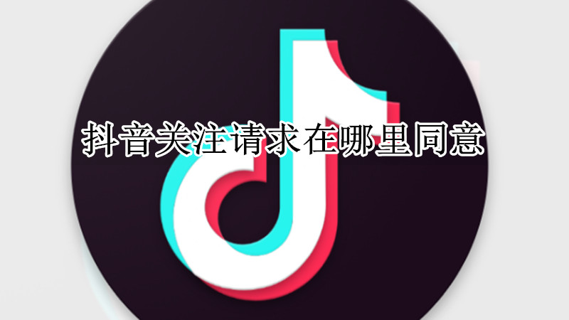 抖音关注请求在哪里同意