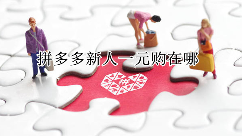 拼多多新人一元购在哪