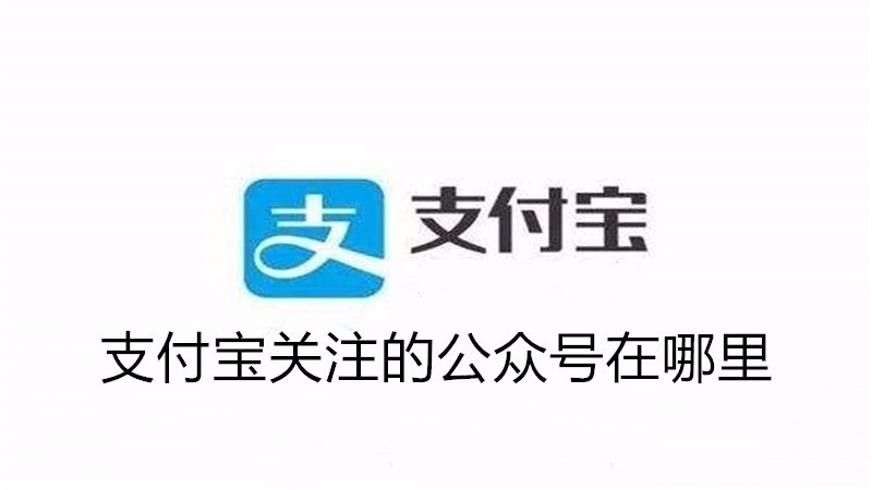支付宝关注的公众号在哪