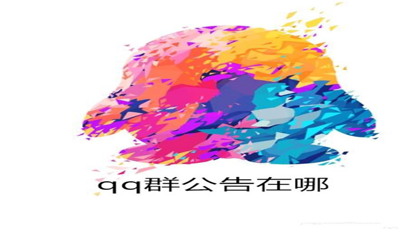 qq群公告在哪
