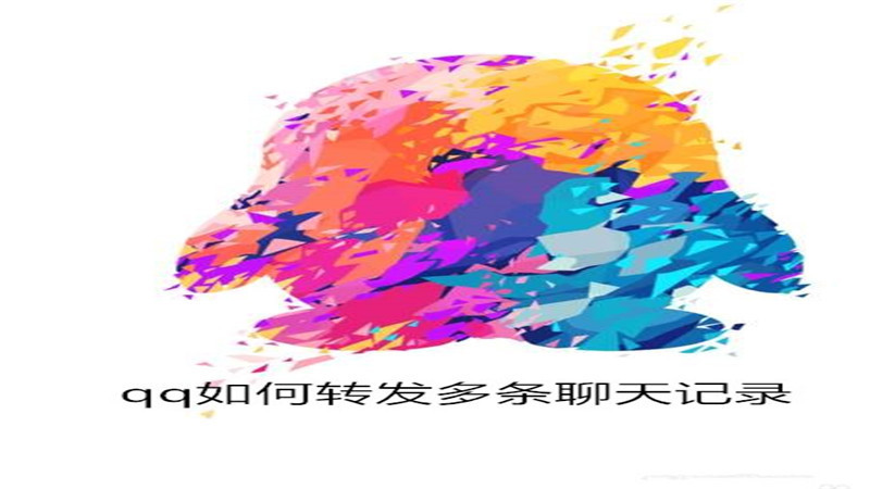 qq如何转发多条聊天记录