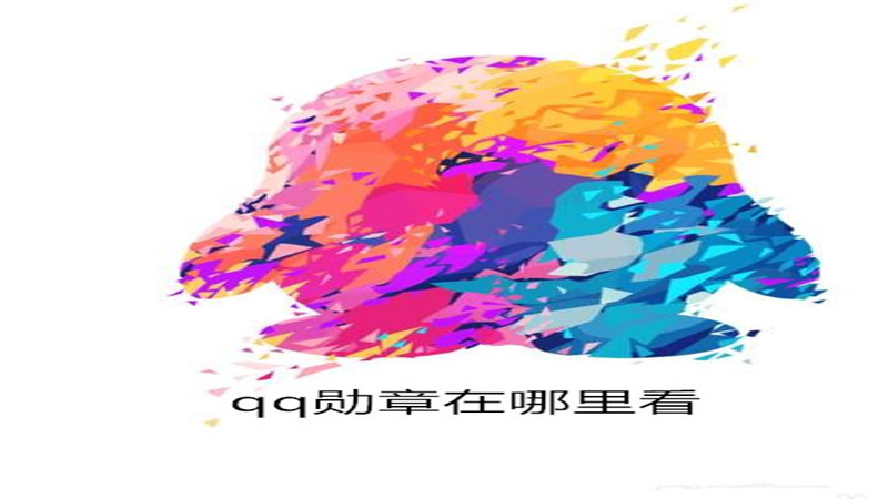 qq勋章在哪里看