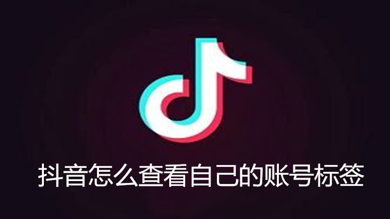 抖音怎么查看自己的账号标签