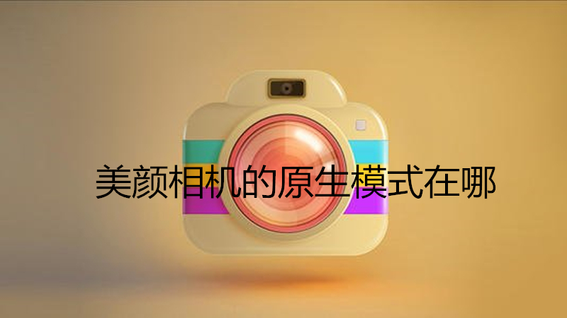 美颜相机的原生模式在哪