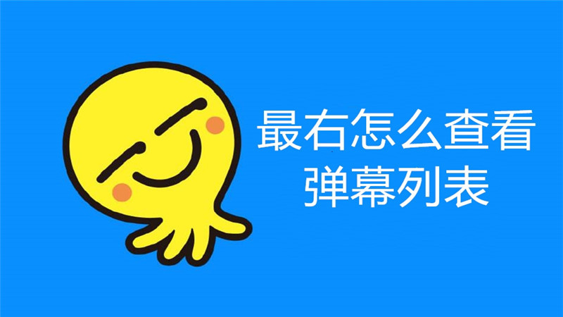 最右怎么查看弹幕列表