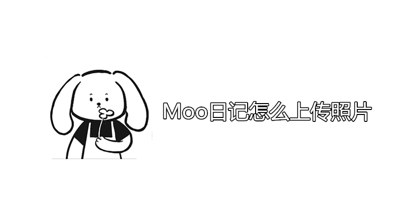 moo日记怎么上传照片