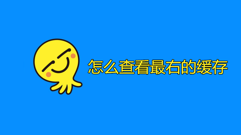 怎么查看最右的缓存