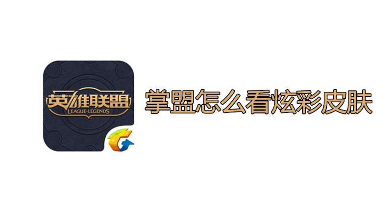 掌盟怎么看炫彩皮肤