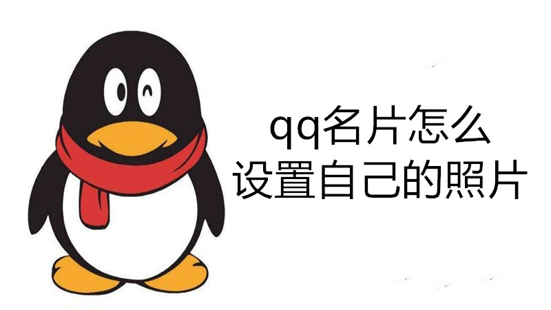 qq名片怎么设置自己的照片