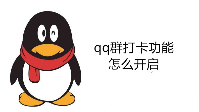 qq群打卡功能怎么开启