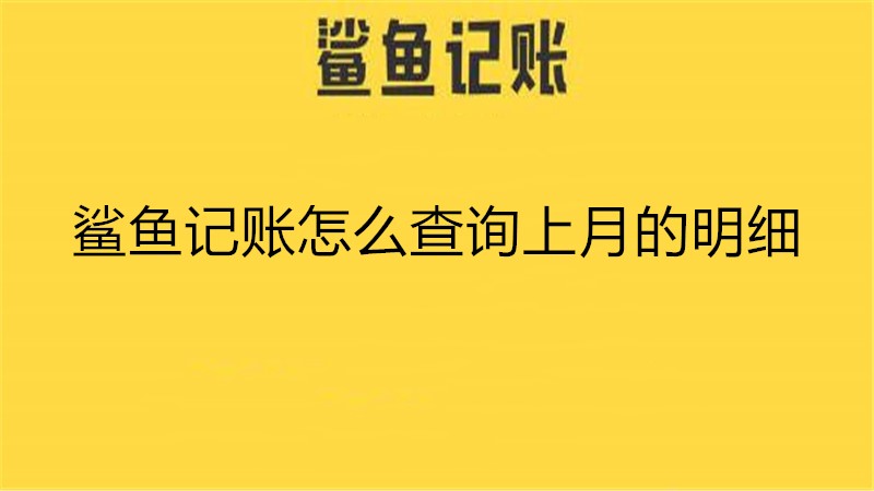 鲨鱼记账怎么查询上月的明细