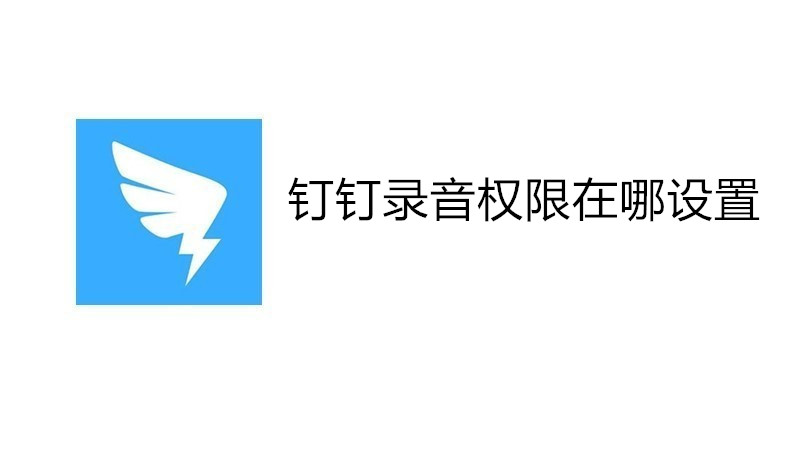 钉钉录音权限在哪设置
