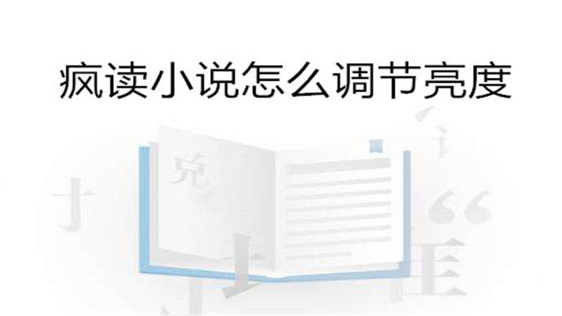 疯读小说怎么调节亮度