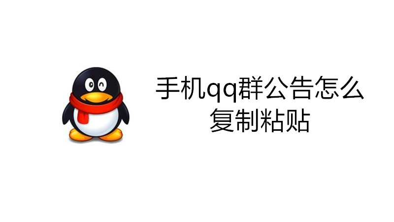 手机qq群公告怎么复制粘贴