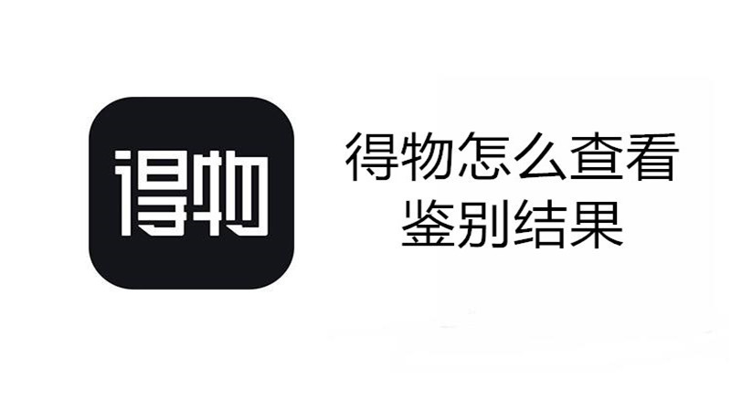 得物怎么查看鉴别结果