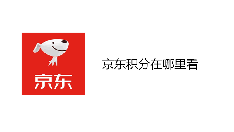 京东积分在哪里看