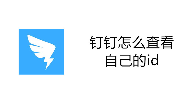 钉钉怎么查看自己的id