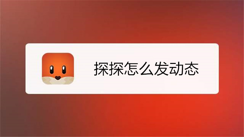 探探怎么发动态