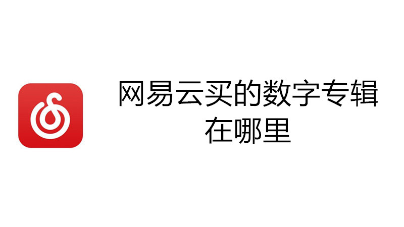 网易云买的数字专辑在哪里
