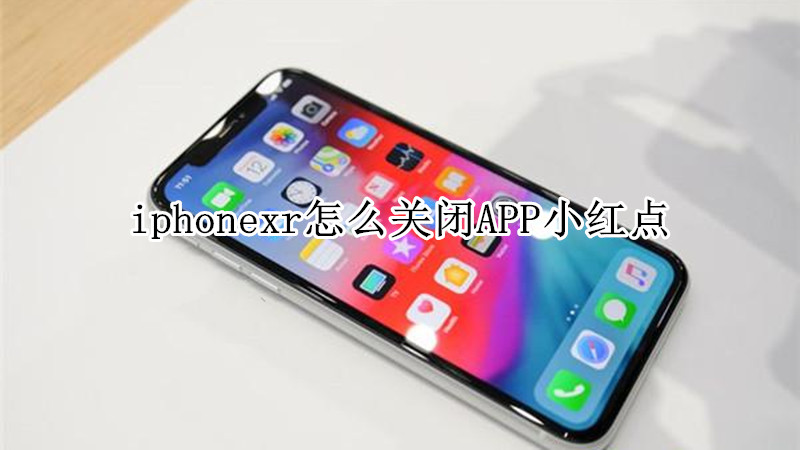 iphonexr怎么关闭APP小红点