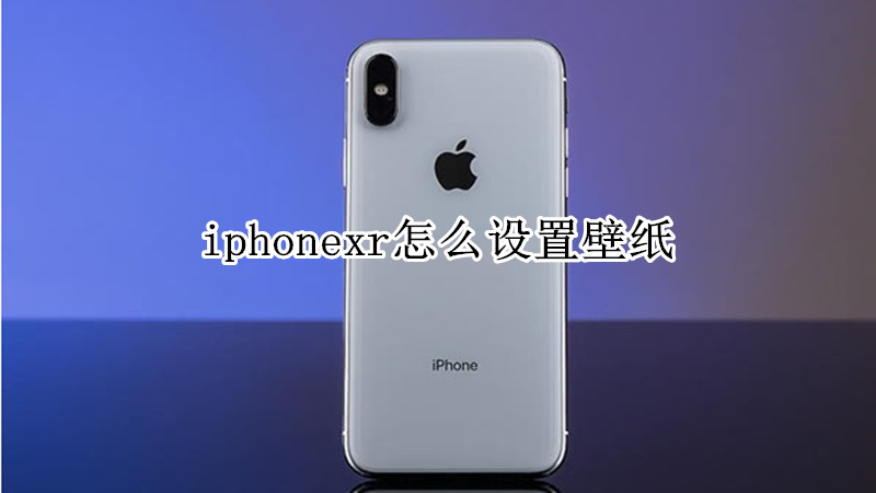 iphonexr怎么设置壁纸