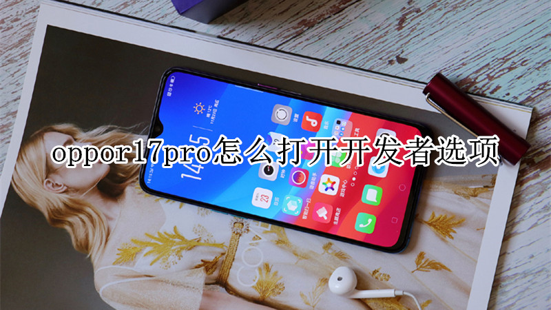 oppor17pro怎么打开开发者选项