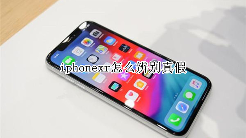 iphonexr怎么辨别真假
