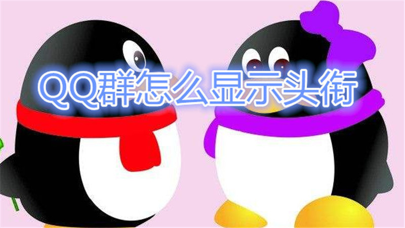 QQ群怎么显示头衔