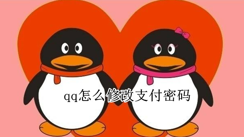 qq怎么修改支付密码