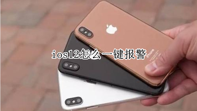 ios12怎么一键报警