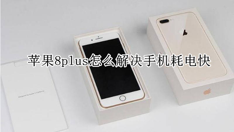 苹果8plus怎么解决手机耗电快