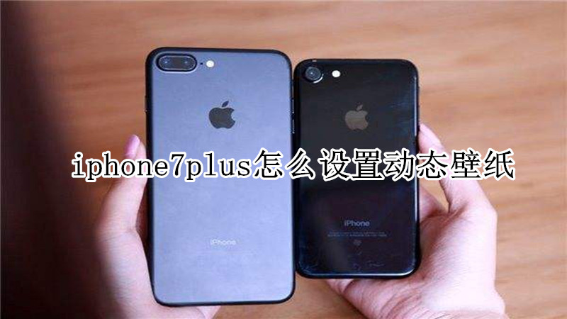 iphone7plus怎么设置动态壁纸