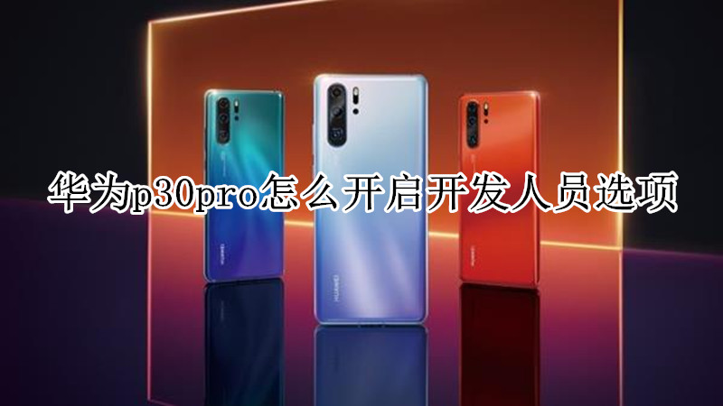 华为p30pro怎么开启开发人员选项
