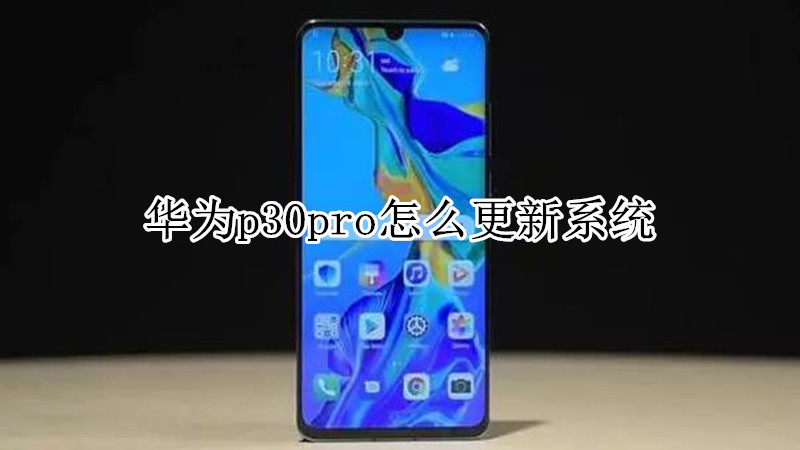 华为p30pro怎么更新系统