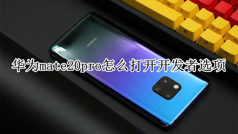 华为mate20pro怎么打开开发者选项