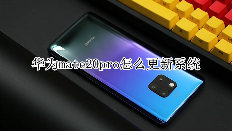 华为mate20pro怎么更新系统