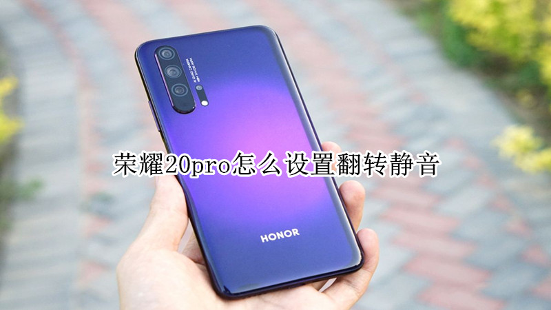 荣耀20pro怎么设置翻转静音