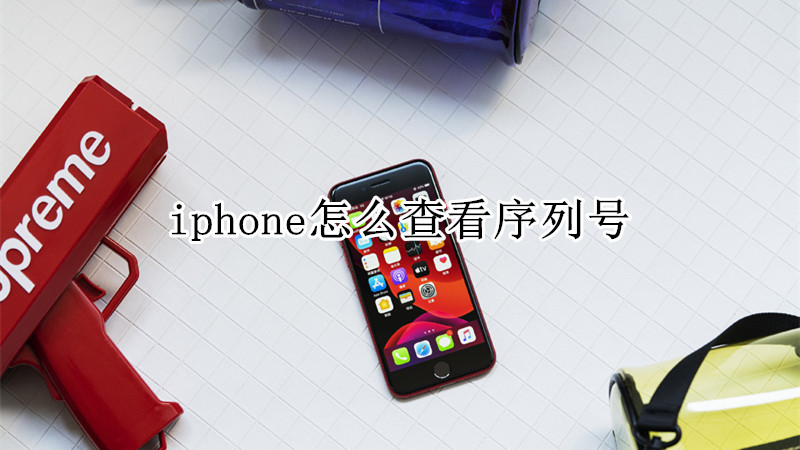 iphone怎么查看序列号