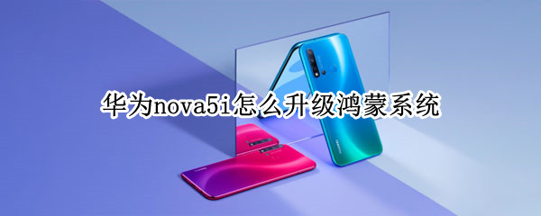 华为nova5i怎么升级鸿蒙系统